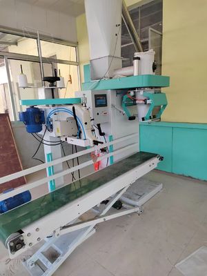 Yüksek Verimlilik İçin ±0.25g Paketleme Hassasiyetli, PLC Kontrol Sistemli ve 380V Özelleştirilebilir Motorlu Granül Paketleme Makinesi
